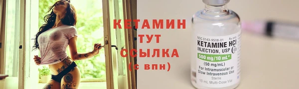 прущие грибы Армянск