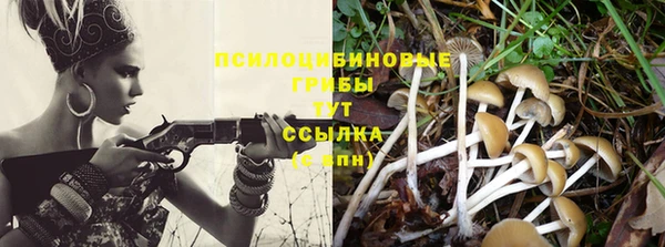прущие грибы Армянск