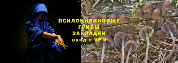 ПСИЛОЦИБИНОВЫЕ ГРИБЫ Ступино