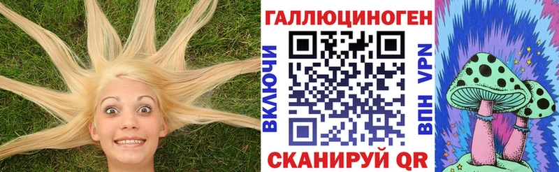 Псилоцибиновые грибы Psilocybine cubensis  Бутурлиновка 
